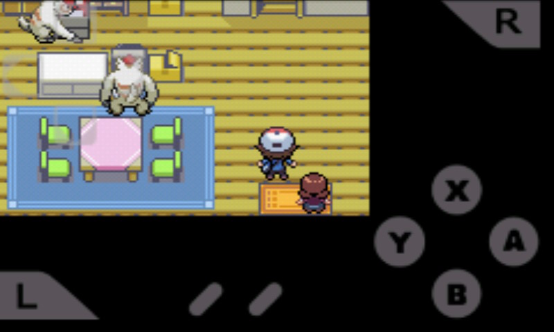 口袋妖怪永恒光明手机版 截图4