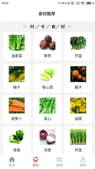 凯发菜谱app v1.05.31 安卓版 截图3