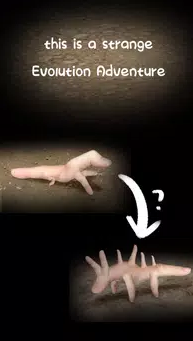 手指错觉 截图1
