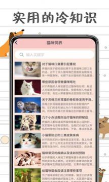 小猫交流器app 截图1