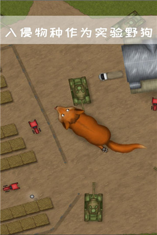 永远的美味星球中文版