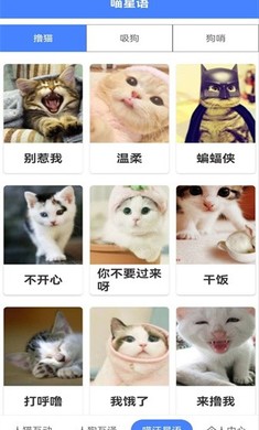 萌趣猫狗翻译器 截图2