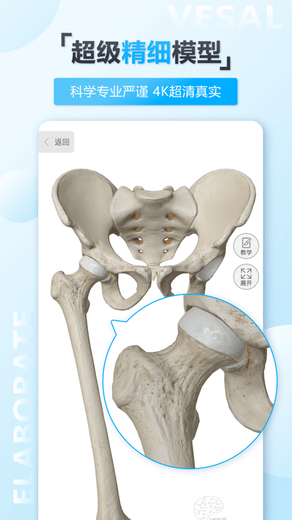 维萨里3d解剖app最新版 截图2