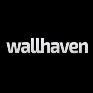 wallhaven中文版  v6.8.6