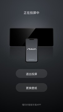 风神车联官方 截图1