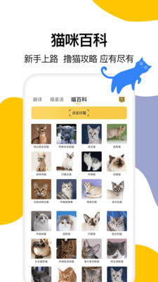 猫语翻译大全 截图3