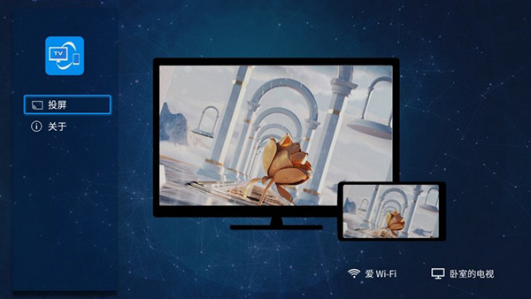 雨燕投屏高级版 截图2