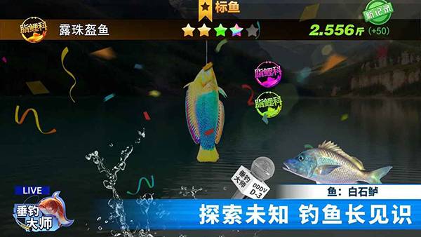 垂钓大师内购版 截图2
