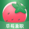 草莓兼职app  v1.2.0