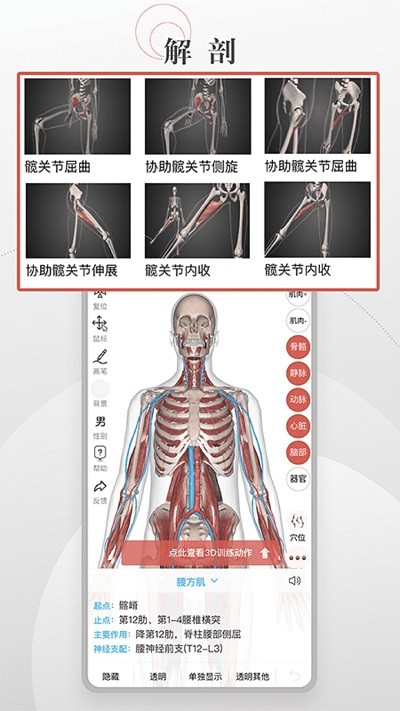 3d运动健康软件 截图1