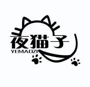 夜猫子影视TV盒子