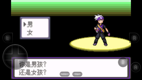 口袋妖怪漆黑的魅影安卓版 截图2