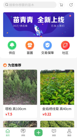 苗青青app 1