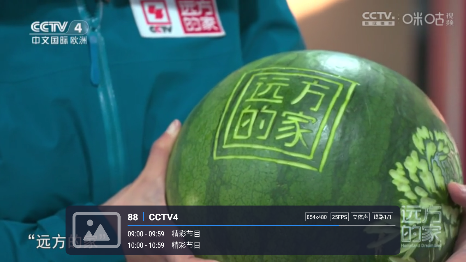 嘉庆TV安卓版 截图4