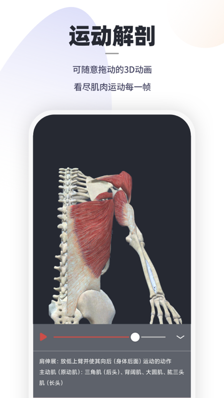 口袋解剖app 截图4