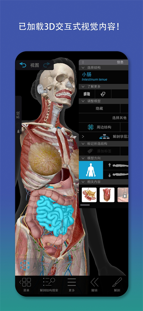 atlas人体解剖软件正版 截图3