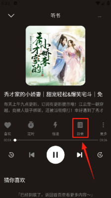 河马畅听 截图17