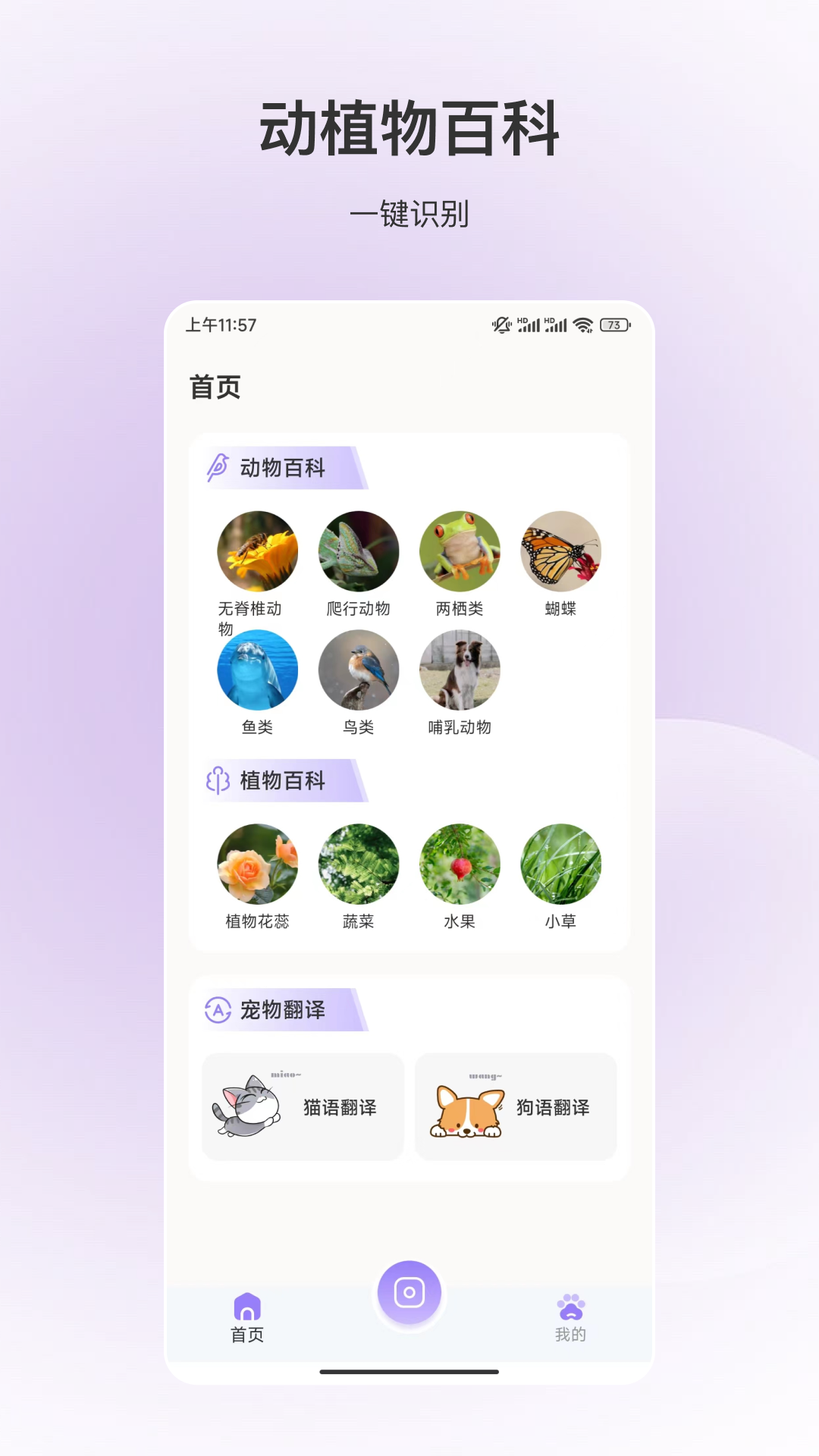 动物识别 截图1
