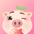 憨小猪app  v1.5