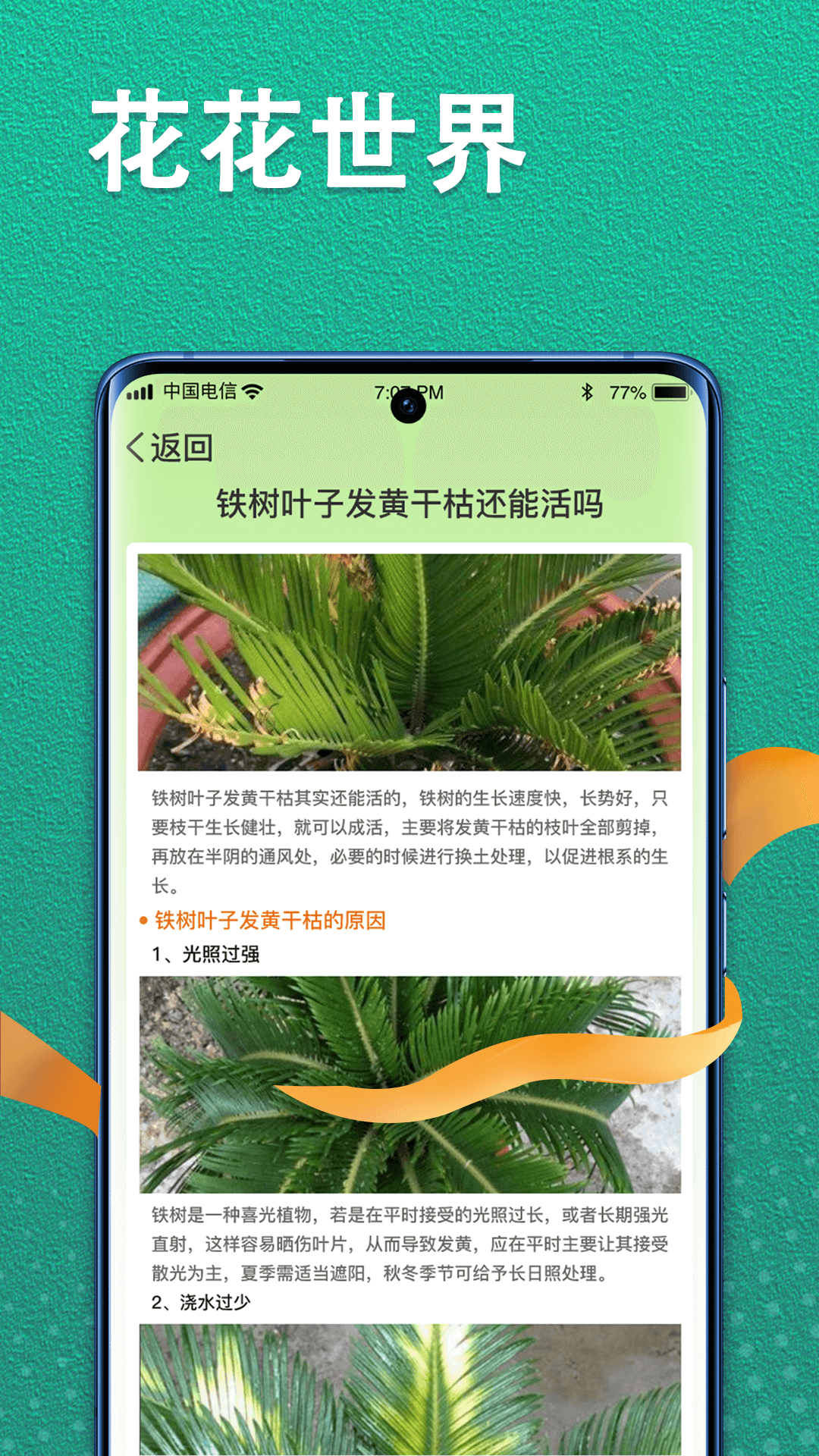 植物视界app 截图2
