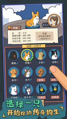 狗生模拟器折相思 截图2