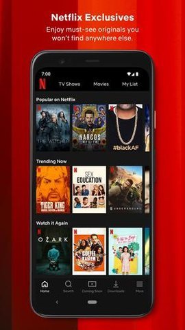 奈飞netflix中文版 截图1