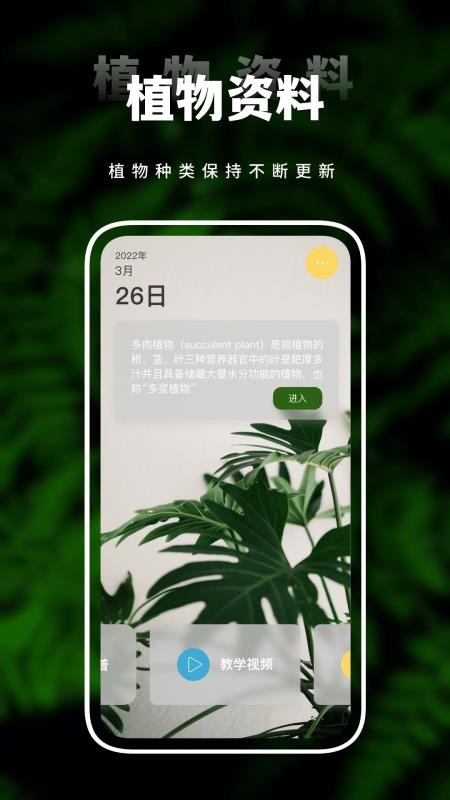 害羞草生活视频 截图3