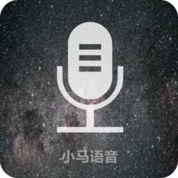 voice translator手机版